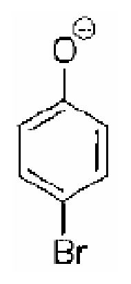 Option C Diagram 1