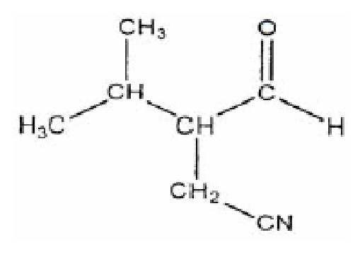 Option A Diagram 1