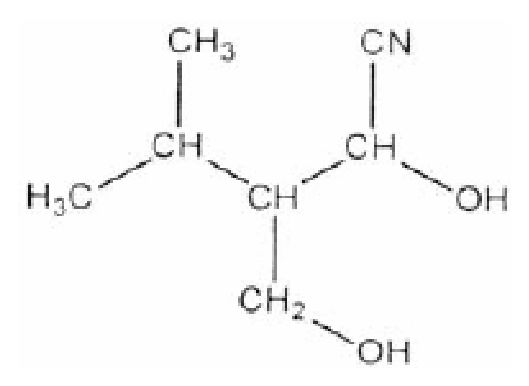 Option C Diagram 1