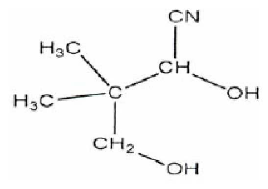 Option D Diagram 1