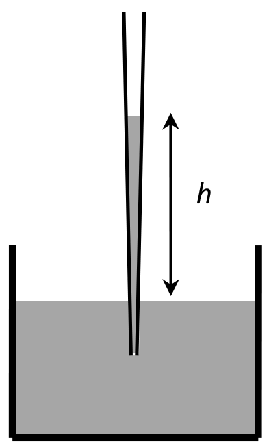 Question Diagram 1
