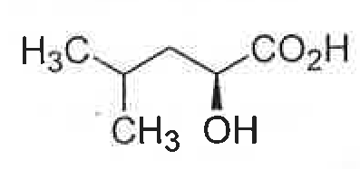 Option C Diagram 1