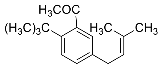 Option C