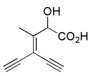 Option C Diagram 1