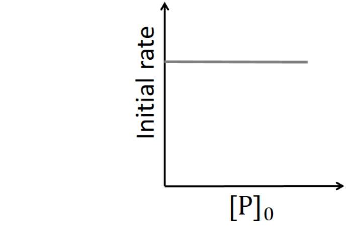 Option B Diagram 1