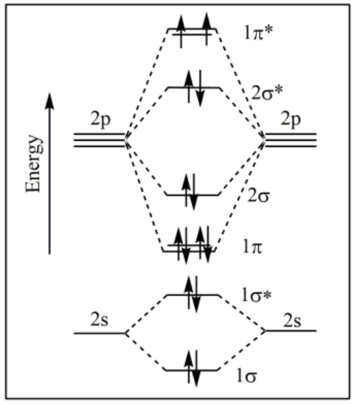 Option B
