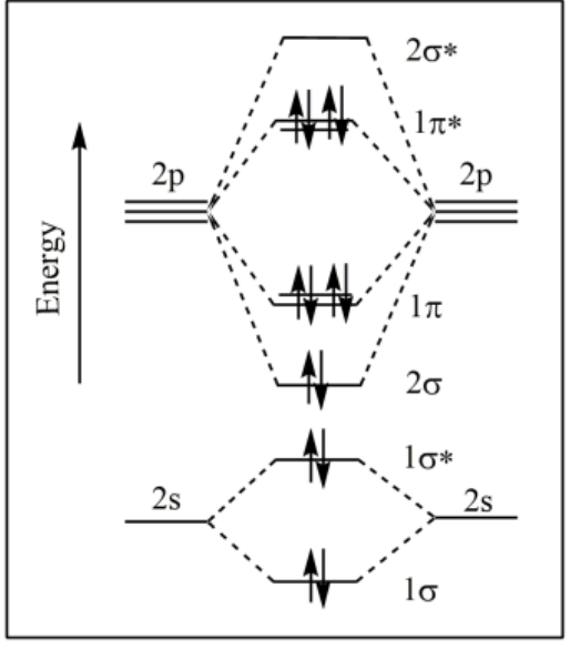 Option C