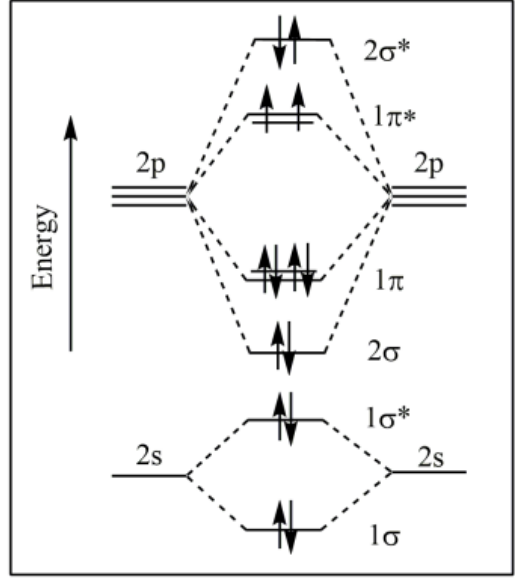 Option D