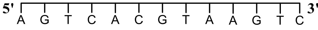 Question Diagram 1