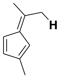 Option B