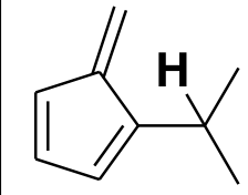 Option C