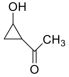 Option B