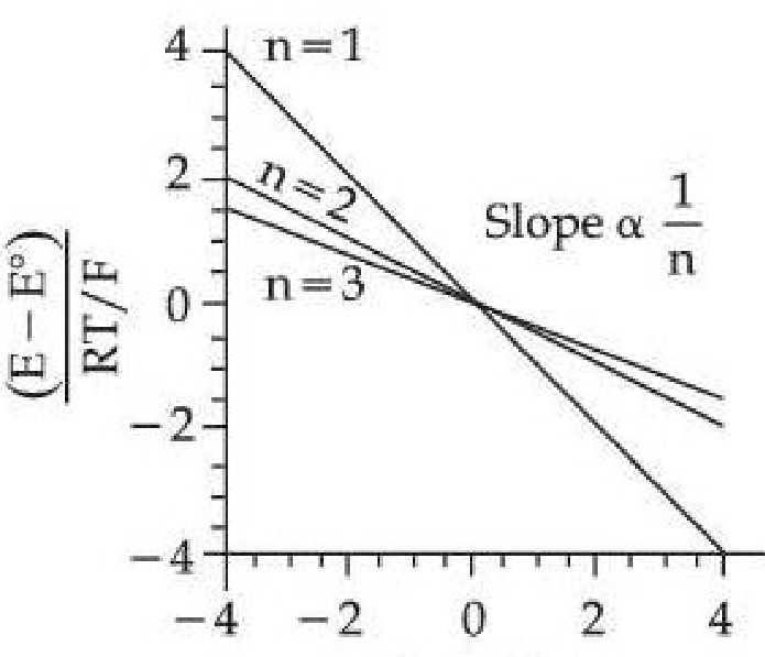 Option C